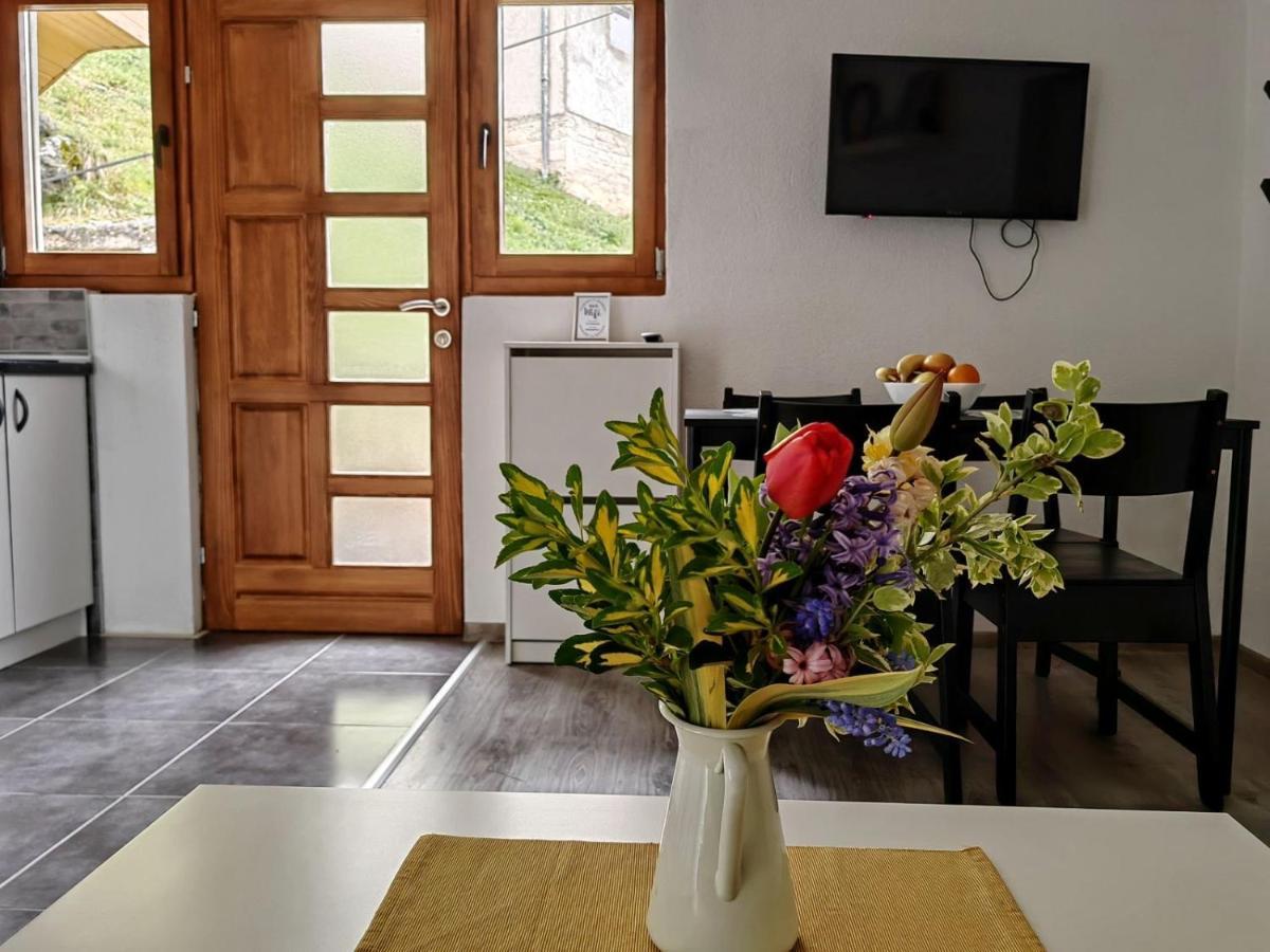 Ive Andrica 3 Διαμέρισμα Βίσεγκραντ Εξωτερικό φωτογραφία